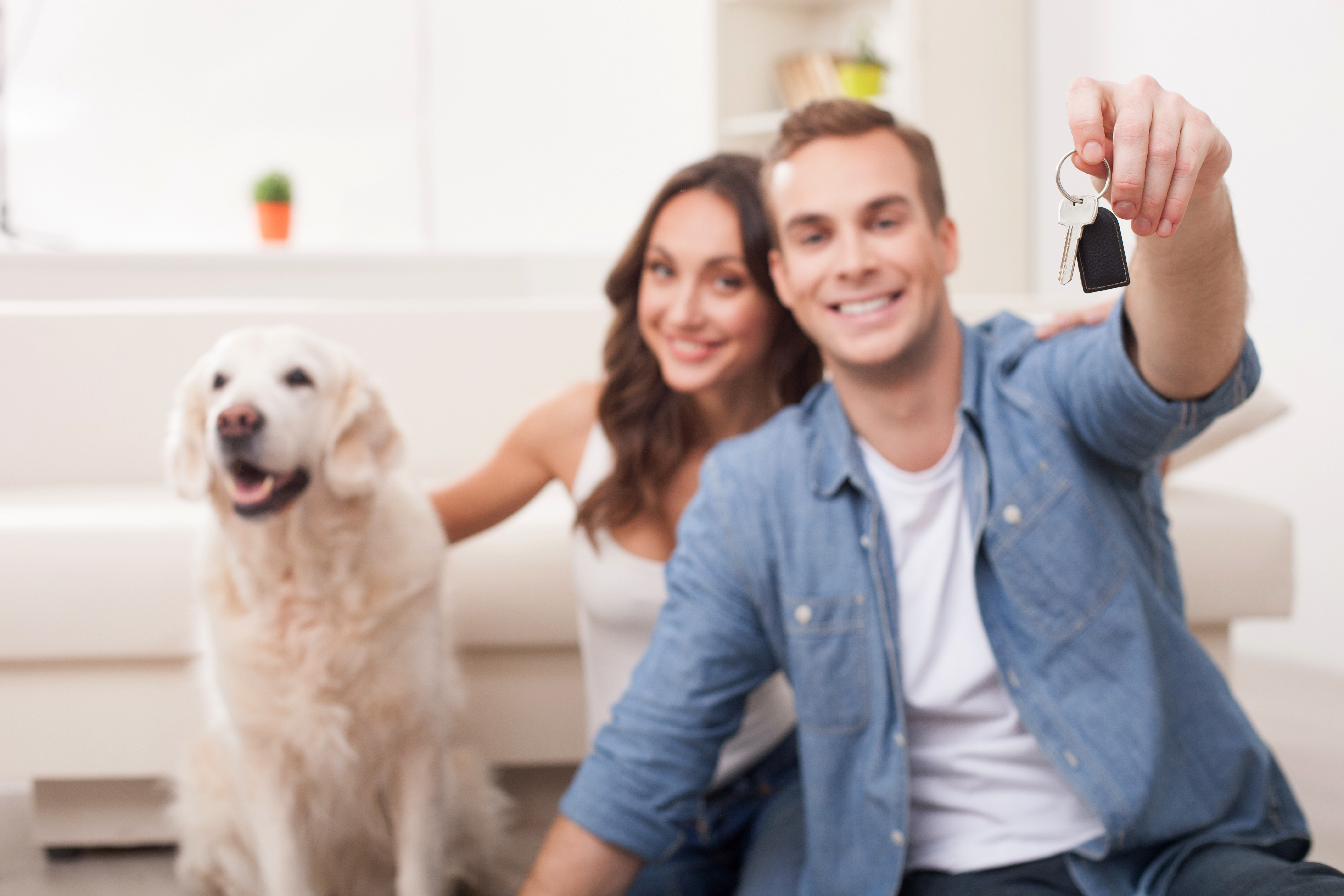 Husband dog wife. Rent by Pet boymo3. House Sitter job. The couple and the Dog in Front of the Sofa. Couple hold Keys from Apartment.